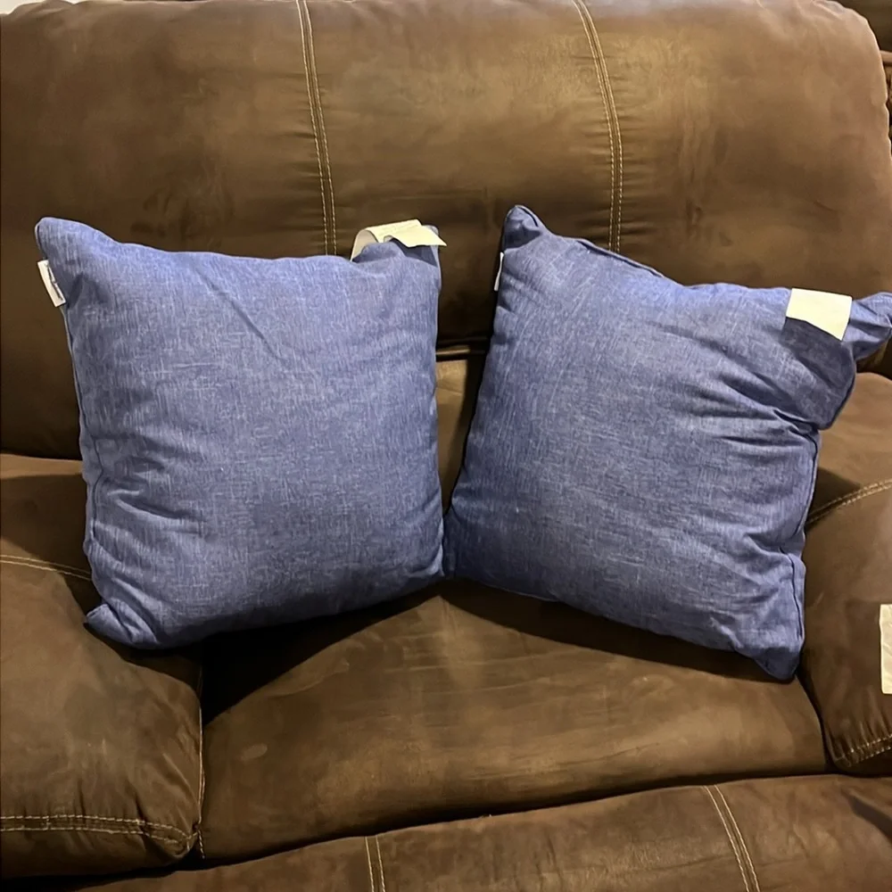 Tommy Bahama 2 Outdoor Patio Porch Throw Pillows with Tote new 20”x20”